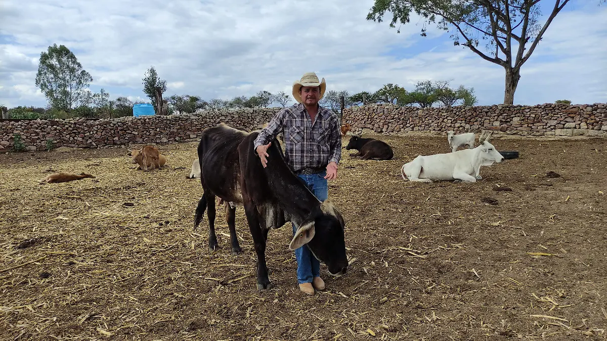 Llaman a cuidar el ganado y la exportación del mismo desde Guanajuato3